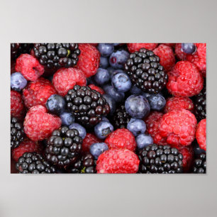Berries blueberry blackberry raspberry poster
