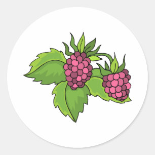 Berries Classic Round Sticker