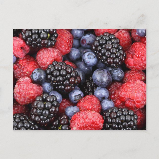 berries postcard (Front)