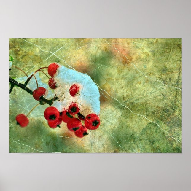 Berries Poster (Front)