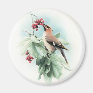 Berries To Eat Magnet