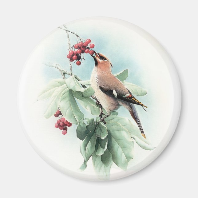 Berries To Eat Magnet (Front)