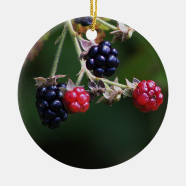 Berry Branches Ornament  (Front)