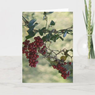 Berry Card