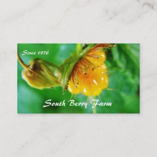 berry farm business card