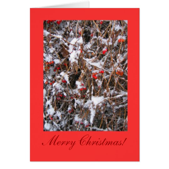 Berry Merry Christmas Card
