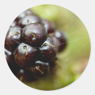 Berry Nice Classic Round Sticker