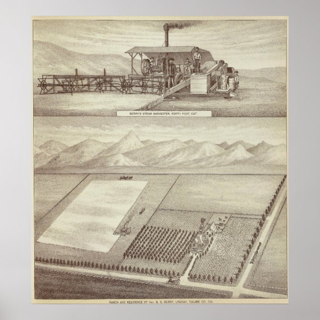 Berry ranch, Lindsay Poster (Front)