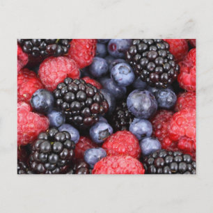 Berry Salad Postcard