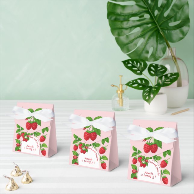 Berry Sweet Raspberry Kids Birthday Party -  Favour Box (Multiple)