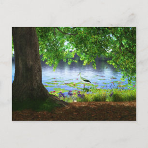 Beside the Still Water Postcard