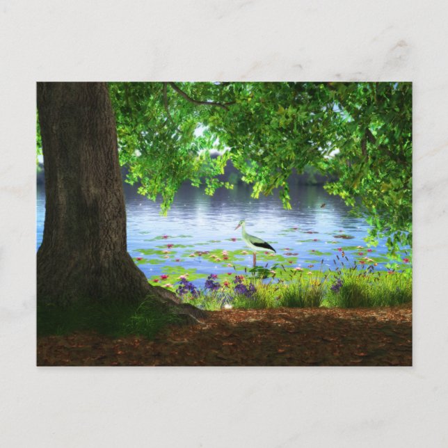 Beside the Still Water Postcard (Front)