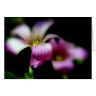 Beside You Always/ Love Wedding Card