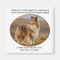 Beside You Collie