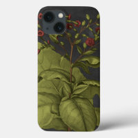 Besler Dramatique I