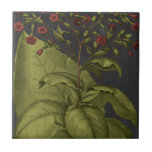 Besler Dramatique I Ceramic Tile<br><div class="desc">Floral</div>
