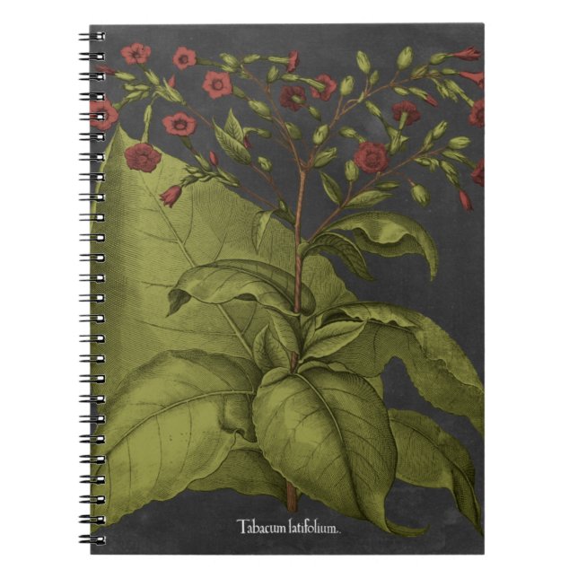 Besler Dramatique I Notebook (Front)