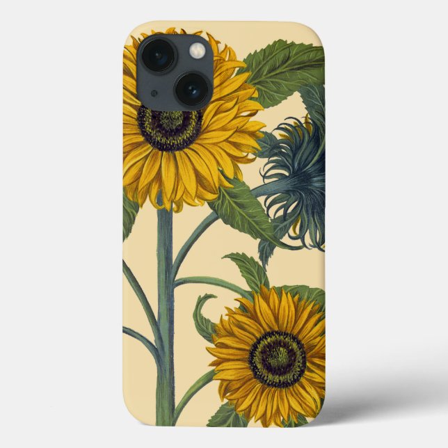 Besler: Sunflower Case-Mate iPhone Case (Back)