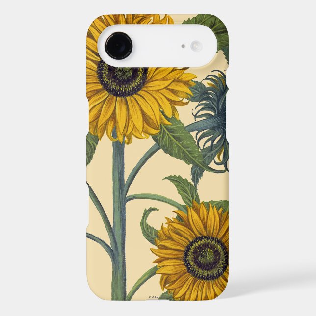 Besler: Sunflower Case-Mate Samsung Galaxy Case (Back)