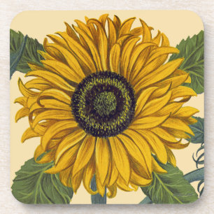 Besler: Sunflower Coaster