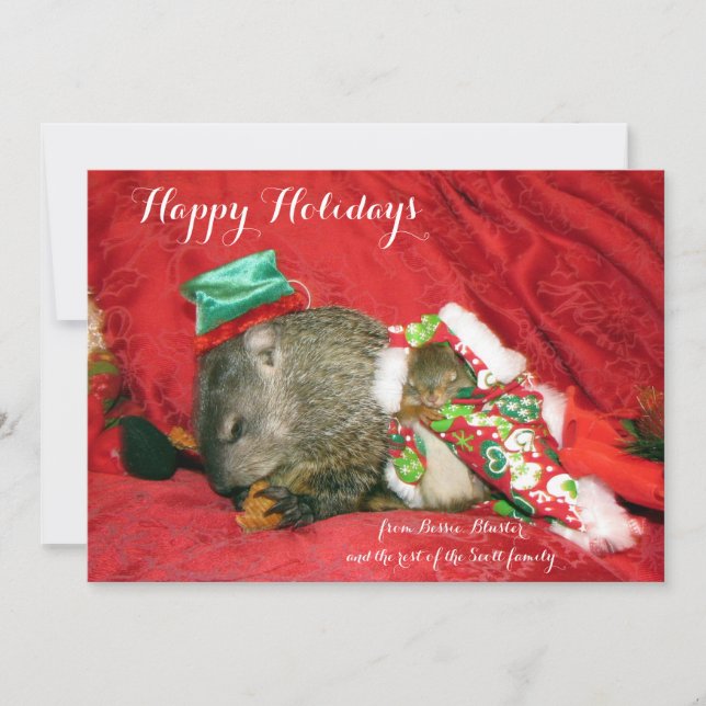 Bessie and Bluster Holiday Invitation/Photocard Card (Front)
