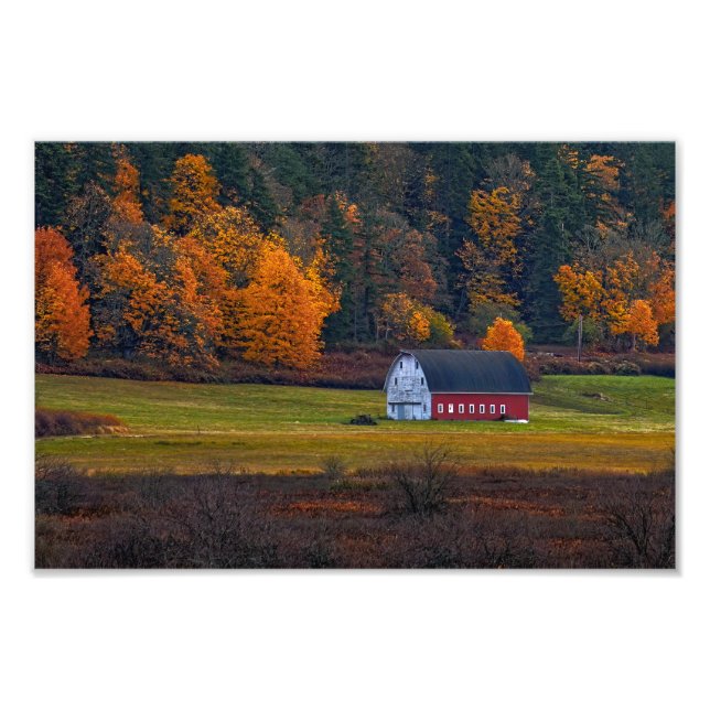 Bessner Barn Guemes Island  Photo Print (Front)