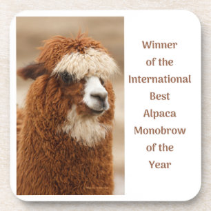Best Alpaca Monobrow Coaster