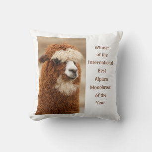 Best Alpaca Monobrow Cushion