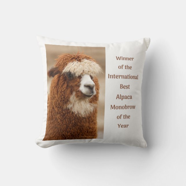 Best Alpaca Monobrow Cushion (Front)
