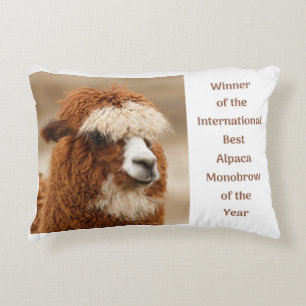 Best Alpaca Monobrow Decorative Cushion
