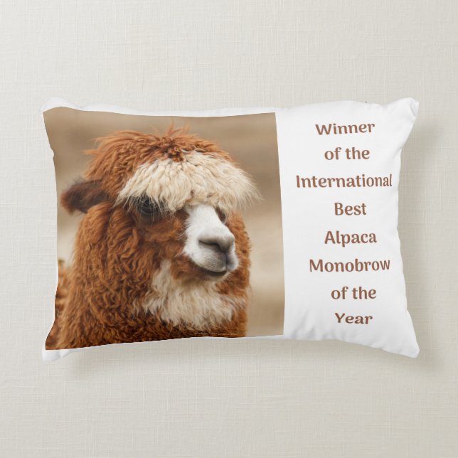 Best Alpaca Monobrow Decorative Cushion (Front)