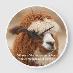 Best Alpaca Monobrow Large Clock