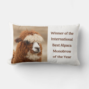 Best Alpaca Monobrow Lumbar Cushion
