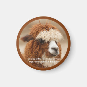 Best Alpaca Monobrow Magnet