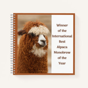 Best Alpaca Monobrow Notebook