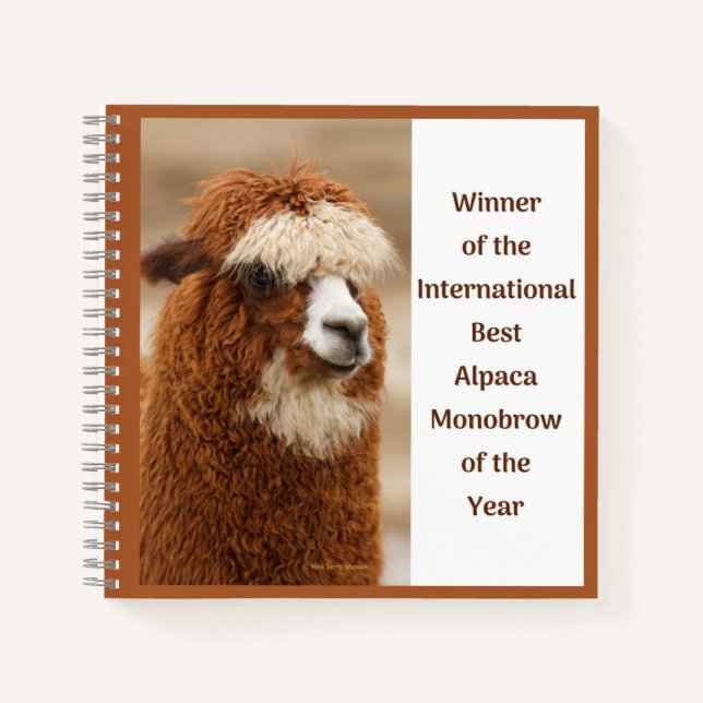 Best Alpaca Monobrow Notebook (Front)