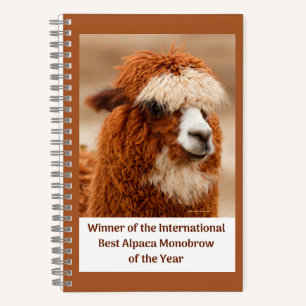 Best Alpaca Monobrow Notebook