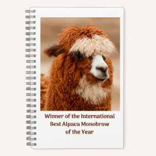 Best Alpaca Monobrow Notebook