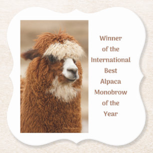 Best Alpaca Monobrow Paper Coaster