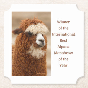 Best Alpaca Monobrow Paper Coaster