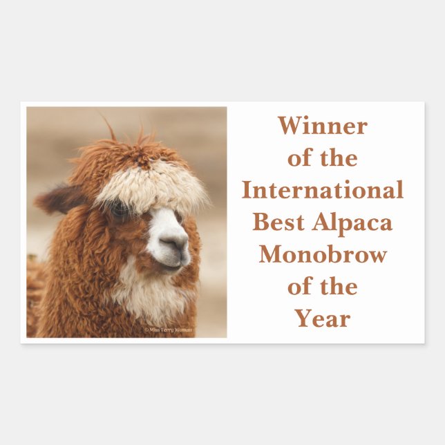 Best Alpaca Monobrow Rectangular Sticker (Front)