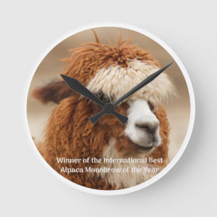 Best Alpaca Monobrow Round Clock