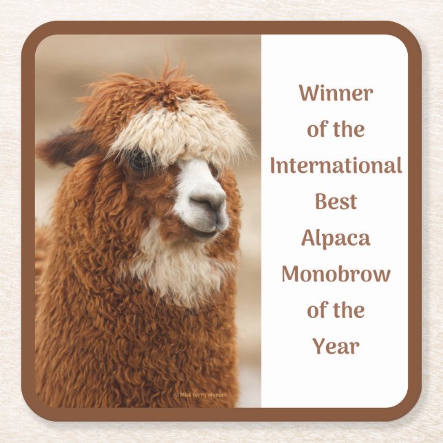 Best Alpaca Monobrow Square Paper Coaster (Front)