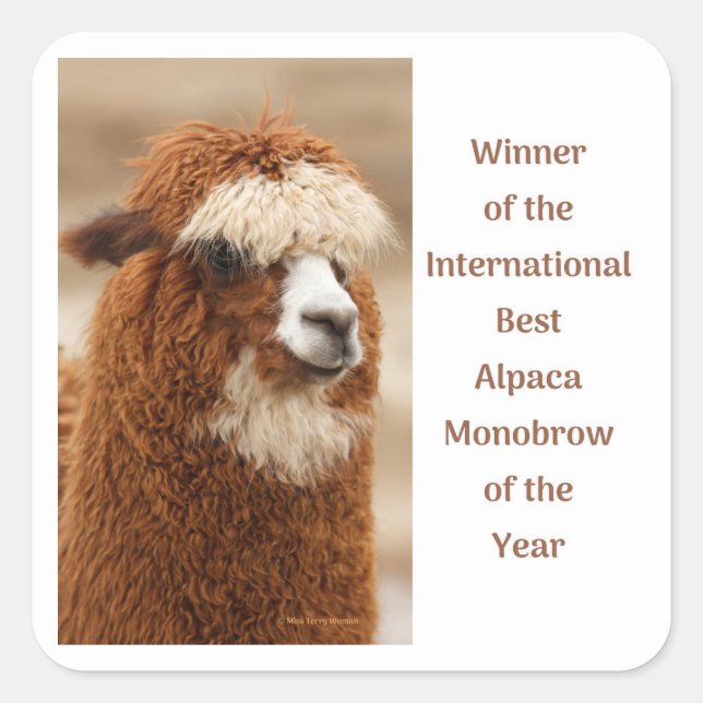 Best Alpaca Monobrow Square Sticker (Front)
