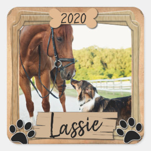 Best Animal Friends Photo Square Sticker