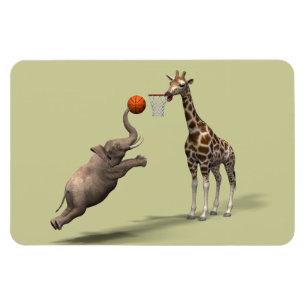 Best Basketball Scorer Magnet