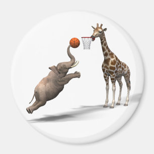 Best Basketball Scorer Magnet