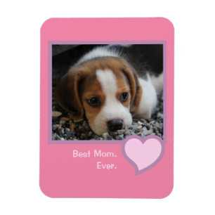 Best Beagle Mum Ever Pink Text Pet Dog Photo  Magnet