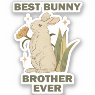 Best Bunny Brother Ever Bunnies Lovers Cool Rabbit