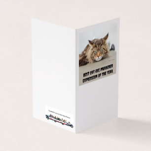 Best cat axe murderer expression